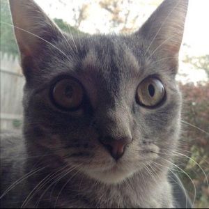 Meet your Posher, Nicholas